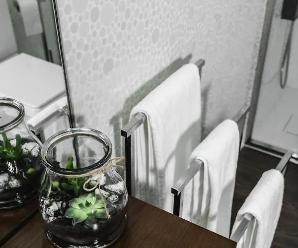 O Pouso Dos Pousos Mesão Frio